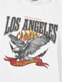 SHEIN Men Eagle & Letter Graphic Tee